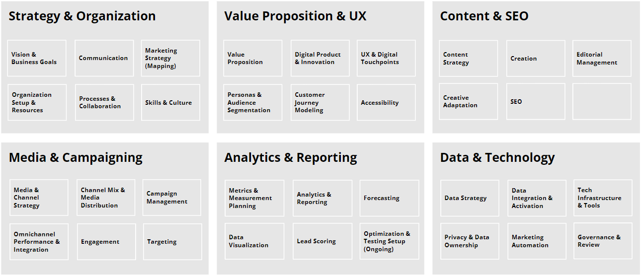 Visualization of the Digital Marketing Maturity Framework